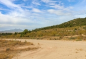 Terreno no urbanizable en venta en la España, Montealegre del Castillo, ref: TR127198 foto