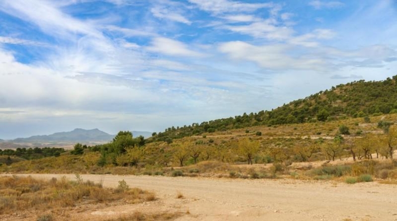 Múrcia - Jumilla - 164304m2