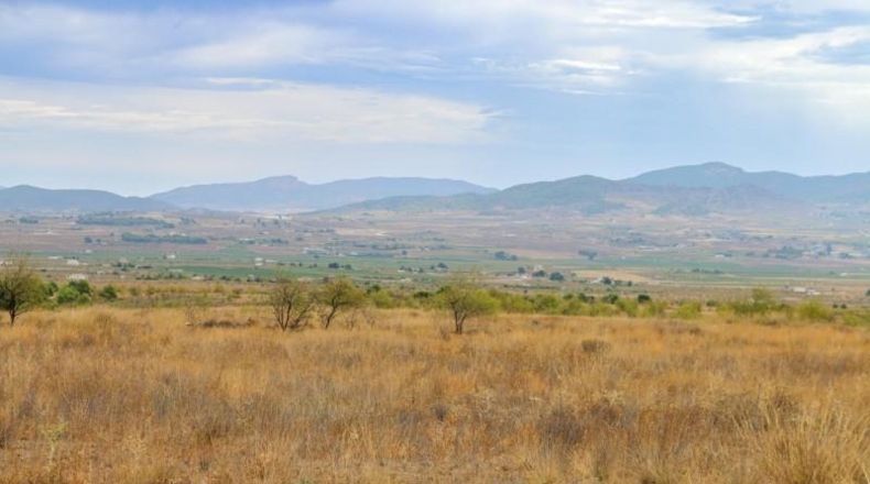 Múrcia - Jumilla - 164304m2