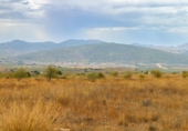 Terreno no urbanizable en venta en la España, Montealegre del Castillo, ref: TR127198 foto