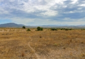 Terreno no urbanizable en venta en la España, Montealegre del Castillo, ref: TR127198 foto