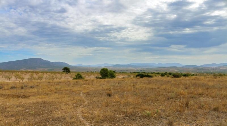 Múrcia - Jumilla - 164304m2