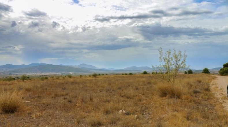 Múrcia - Jumilla - 164304m2