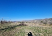 Terreno no urbanizable en venta en la España, Pinos Genil, ref: TR128125 foto