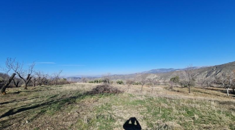 Granada - Pinos Genil - 15600m2
