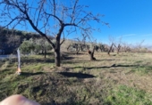 Terreno no urbanizable en venta en la España, Pinos Genil, ref: TR128125 foto