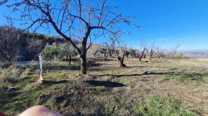 Granada - Pinos Genil - 15600m2