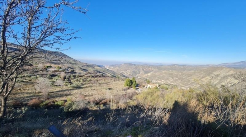 Granada - Pinos Genil - 15600m2