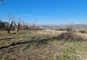 Terreno no urbanizable en venta en la España, Pinos Genil, ref: TR128125 foto