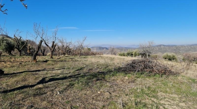Granada - Pinos Genil - 15600m2