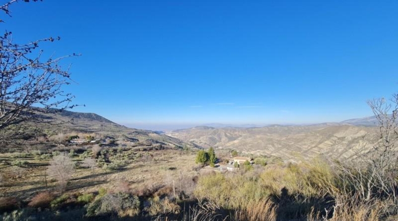 Granada - Pinos Genil - 15600m2