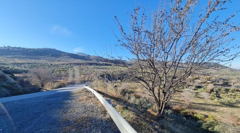 Granada - Pinos Genil - 15600m2