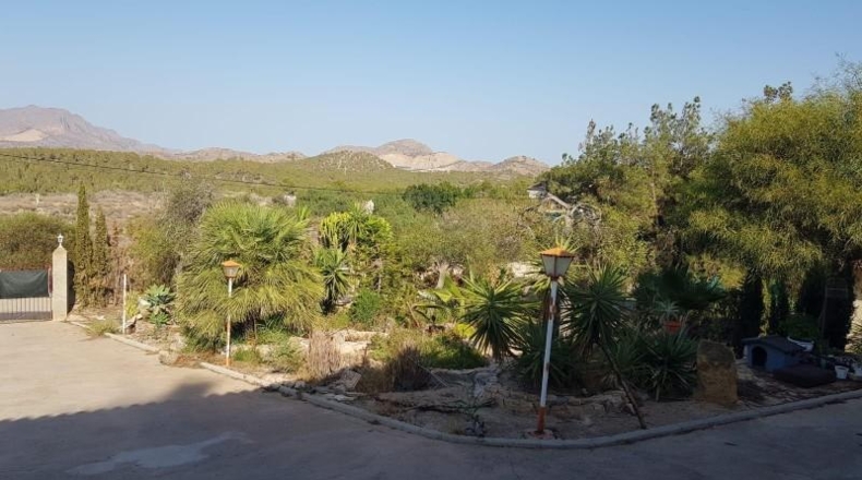 Murcia - Puerto Lumbreras - 2065m2