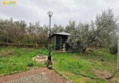 Detached villa with land for sale on España, Luque, ref: TR157655 photo