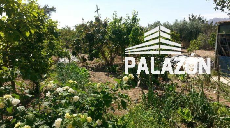 Alicante - Albatera - 2500m2