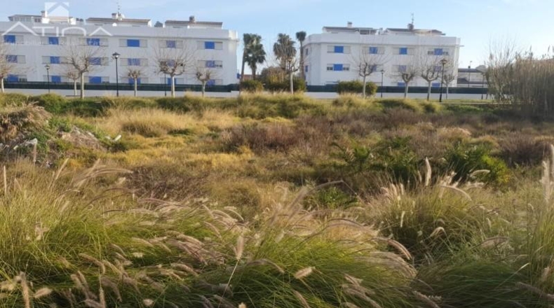 Valencia - Daimús - 1002m2