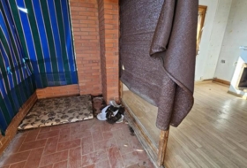 Foto 9