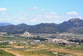 Foto 13