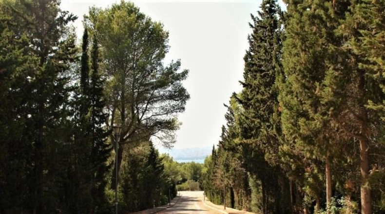 Balearic Islands - Alcudia - 1005m2