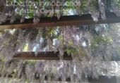 Chalet independiente con terreno en venta en la España, Pilas, ref: TR142535 foto
