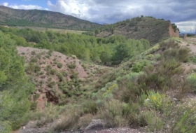 Foto 8