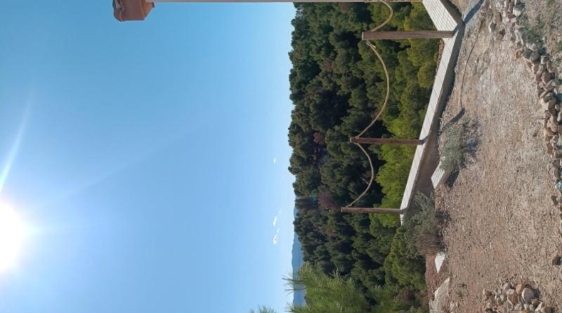 Murcia - Totana - 5000m2