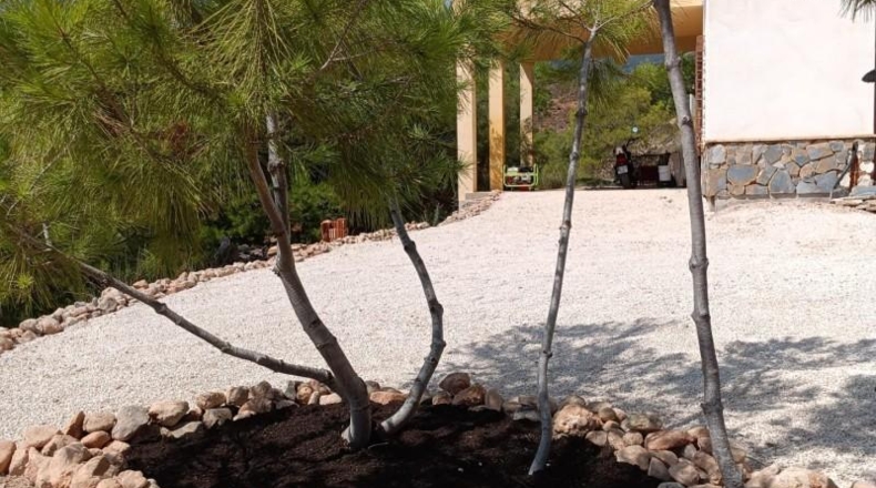 Murcia - Totana - 5000m2