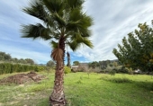 Chalet independiente con terreno en venta en la España, Xàtiva, ref: TR363650 foto