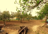 Casa de camp amb terreny en venda a la España, Sanlúcar de Barrameda, ref.: TR395618 foto
