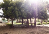 Casa de camp amb terreny en venda a la España, Sanlúcar de Barrameda, ref.: TR395618 foto