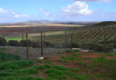 Chalet independiente con terreno en venta en la España, Valdepeñas, ref: TR397878 foto