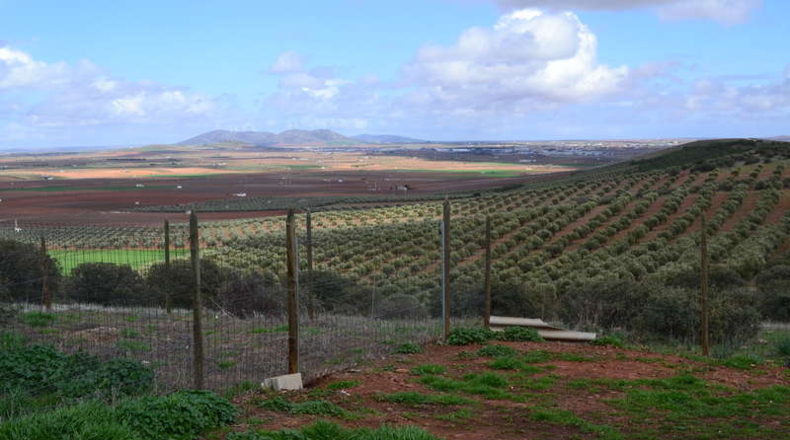 Burgos - Entrambasaguas - 500000m2