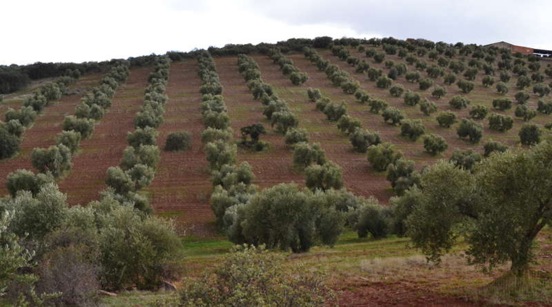 Burgos - Entrambasaguas - 500000m2
