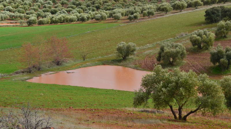 Burgos - Entrambasaguas - 500000m2