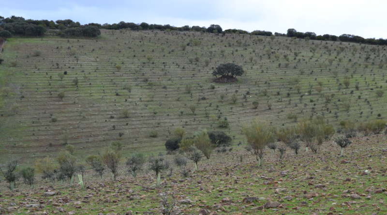 Burgos - Entrambasaguas - 500000m2