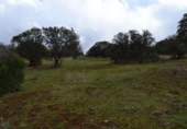 Chalet independiente con terreno en venta en la España, Valdepeñas, ref: TR397878 foto