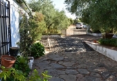Detached villa with land for sale on España, Montoro, ref: TR134493 photo