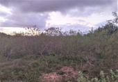 Land suitable for development for sale on España, Sagunto, ref: TR122581 photo