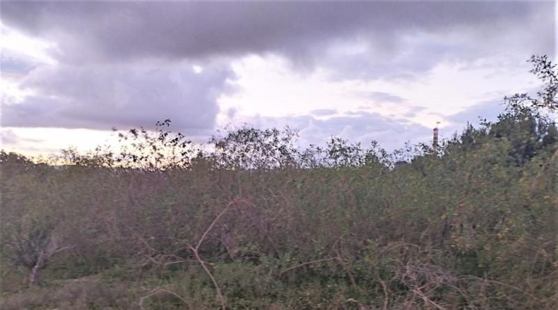 València - Sagunto - 1821m2
