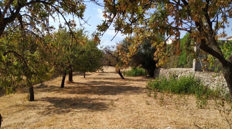 Balearic Islands - Selva - 1135m2