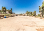Chalet independiente con terreno en venta en la España, Alfarp, ref: TR164511 foto