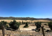 Casa de campo con terreno en venta en la España, Almogía, ref: TR167370 foto