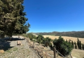 Casa de campo con terreno en venta en la España, Almogía, ref: TR167370 foto