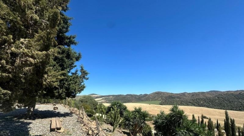 Málaga - Almogía - 5200m2