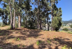 Gondomar 3100&nbsp;m²