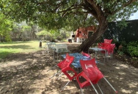 Foto 19