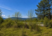 Rural estate for sale on España, Berzosa del Lozoya, ref: TR407625 photo