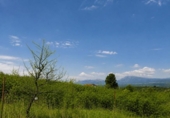 Rural estate for sale on España, Berzosa del Lozoya, ref: TR407625 photo