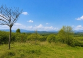 Rural estate for sale on España, Berzosa del Lozoya, ref: TR407625 photo