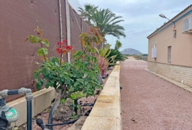 Foto 11